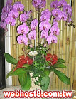 GO�A��j�Ϥ�,�ڭn �q��-�R��,�����ᩱ�q��0952792139,http://www.web-flower.tw/flower/