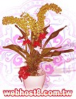 GO�A��j�Ϥ�,�ڭn �q��-�R��,�����ᩱ�q��0952792139,http://www.web-flower.tw/flower/