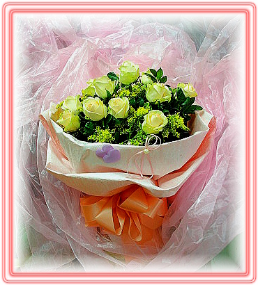 12���������W�����@~�R��q������ᩱ�q��,24H�q��R����ٺ����ᩱ�q��