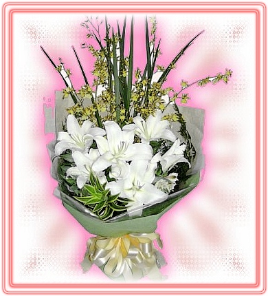 �W���������ʦX��@~�R��q������ᩱ�q��,24H�q��R����ٺ����ᩱ�q��