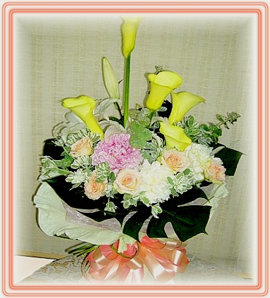 �W�������������ʮ@~�R��q������ᩱ�q��,24H�q��R����ٺ����ᩱ�q��